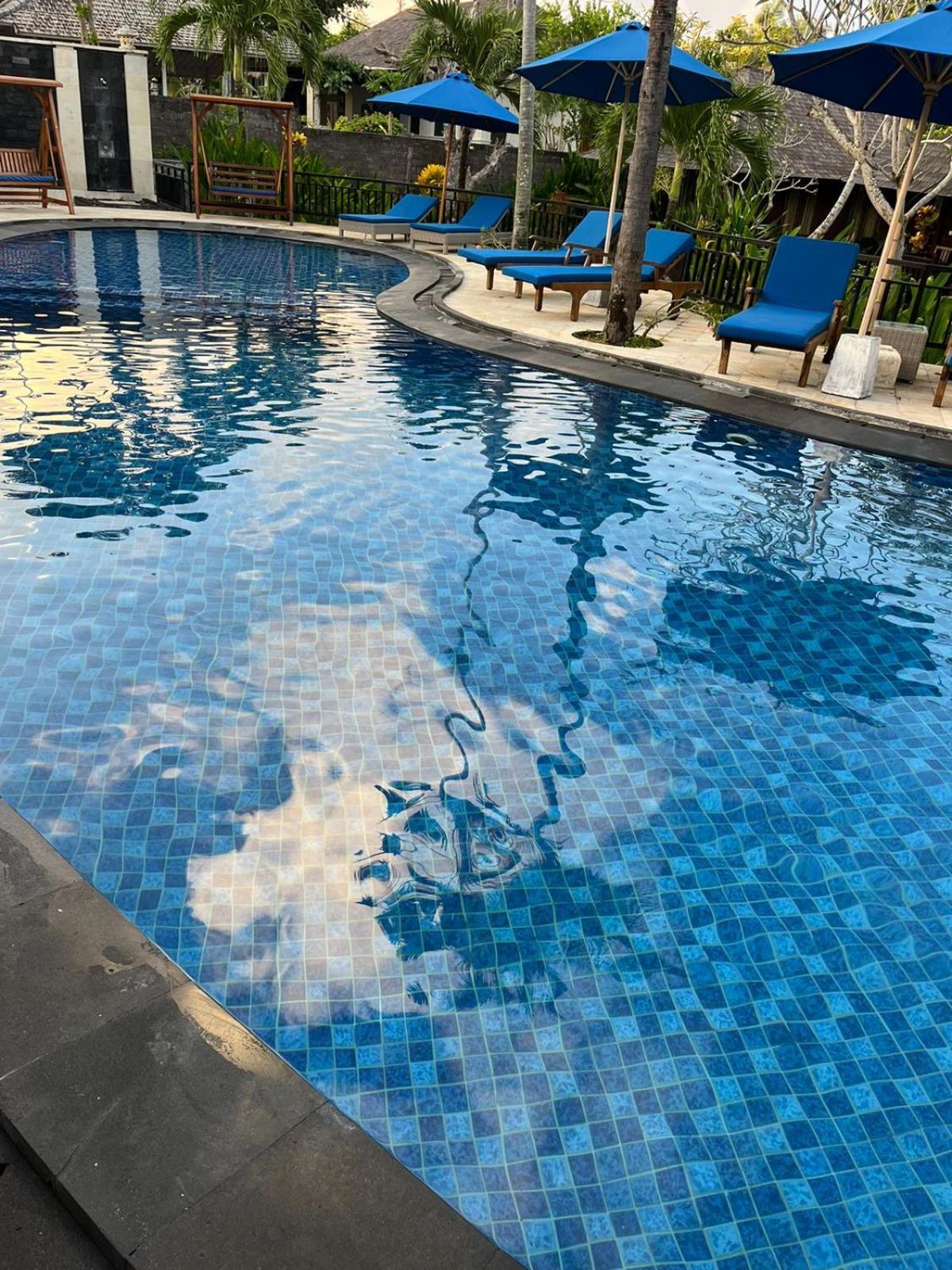 Balangan Surf Resort 짐바란 외부 사진